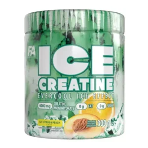 Fa Ice Creatine 60 Servings Icy Citrus and Peach 300g